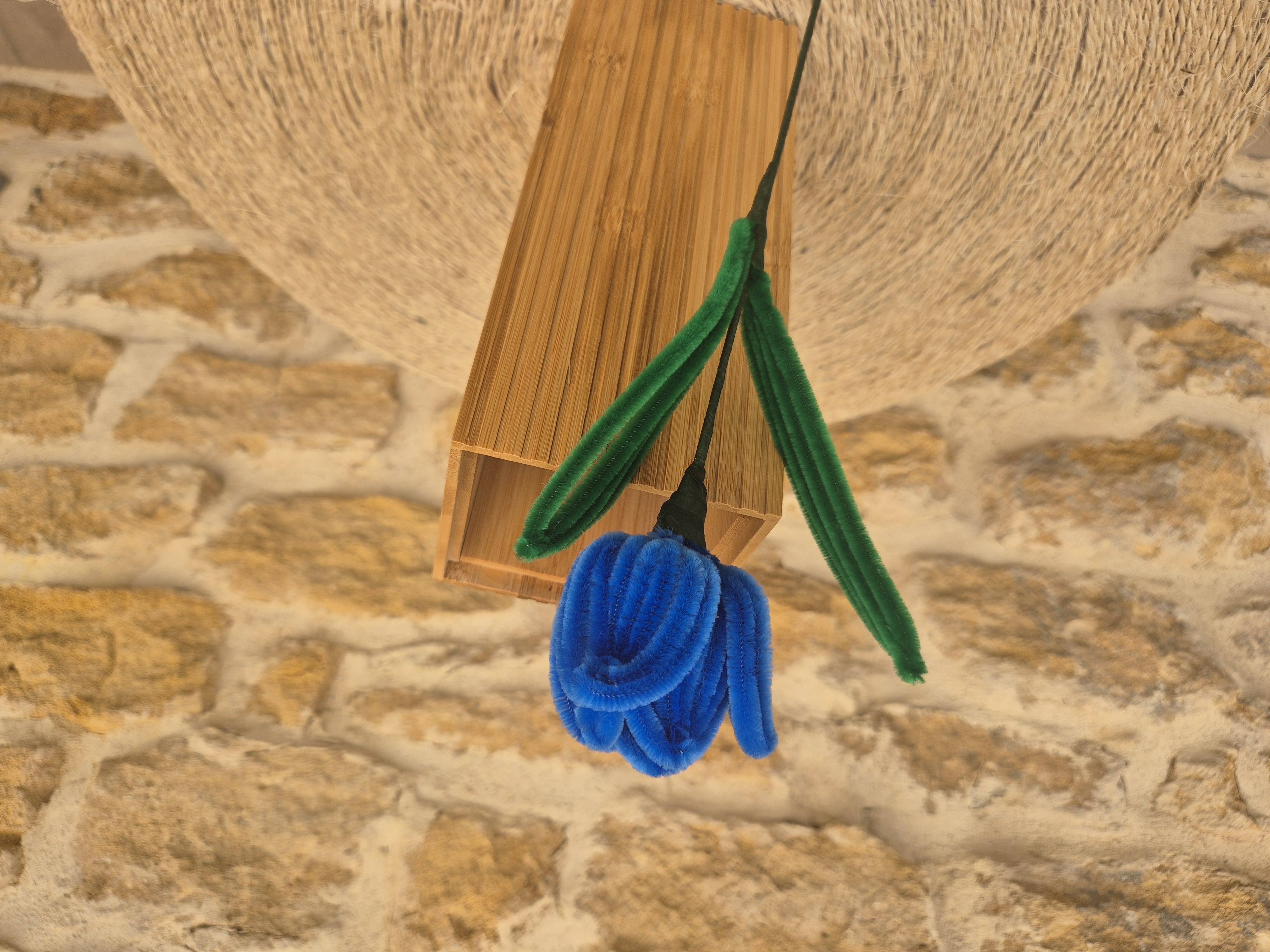 Tulipe cure pipe bleue