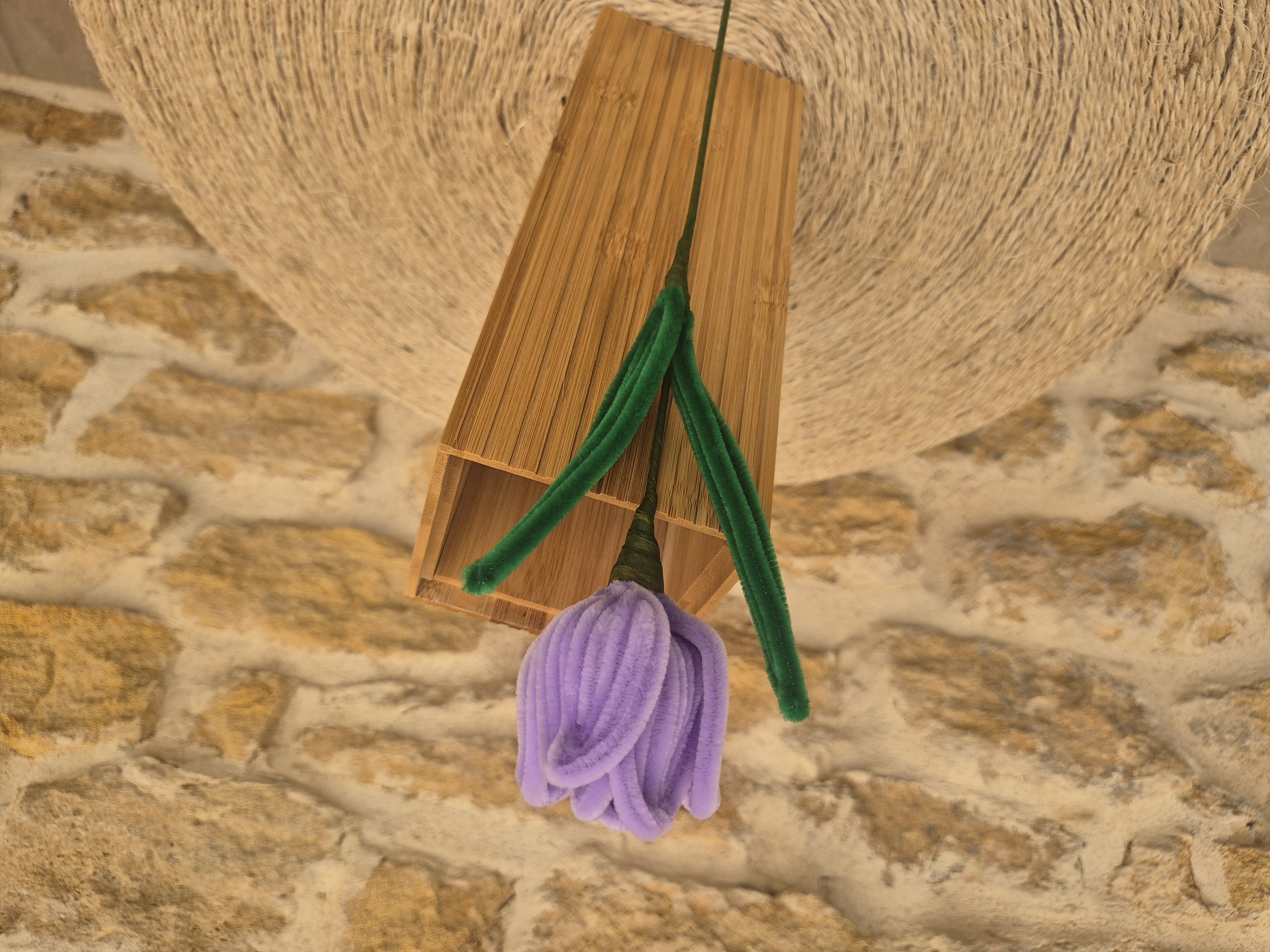 Tulipe cure pipe violette