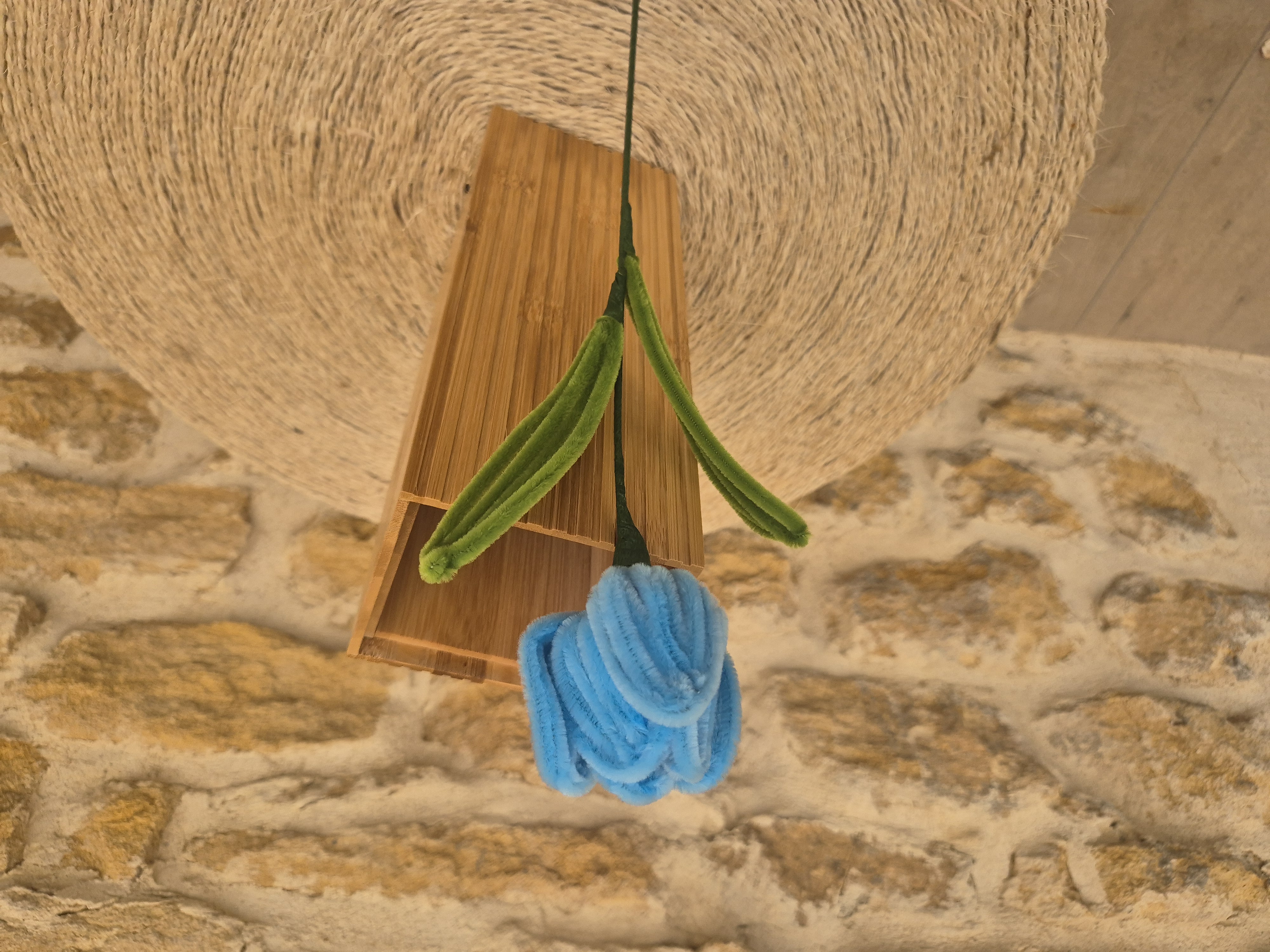 Tulipe cure pipe bleue clair